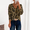 Leopard Print V Neck Top (6 Colors)